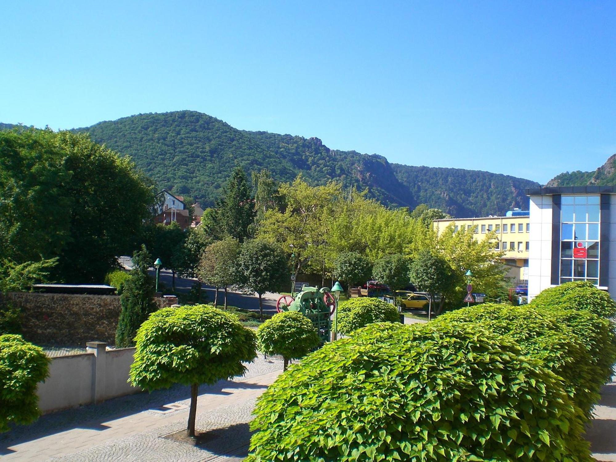 Apartments & Ferienhaus Senftner Thale Zewnętrze zdjęcie